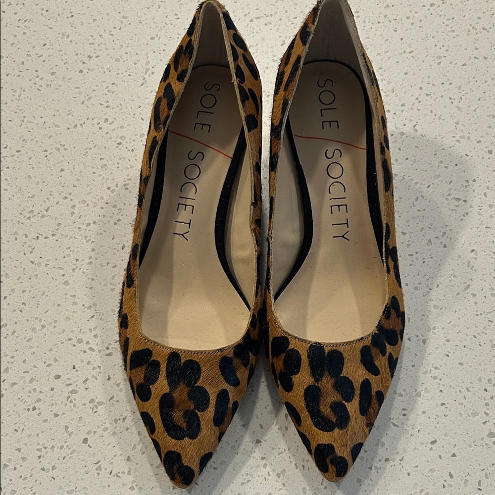 Sole Society Andorra Animal Print Pointed Block Pump